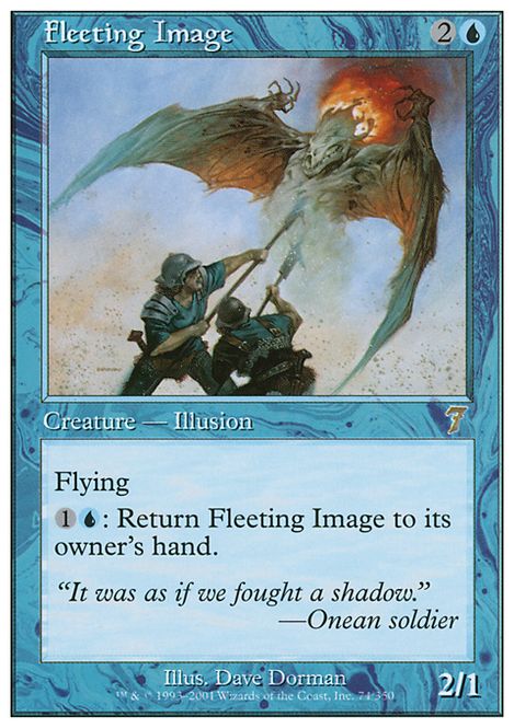 Hovedbilde Fleeting Image
