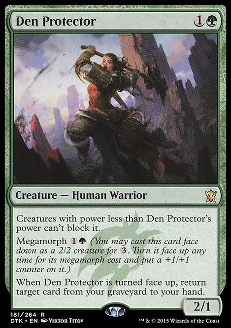 Hovedbilde Den Protector