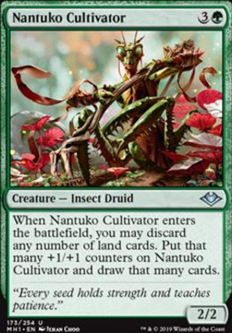 Hovedbilde Nantuko Cultivator