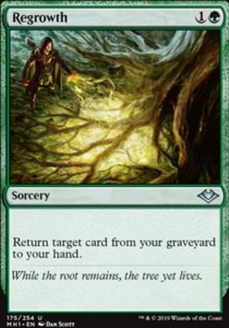 Hovedbilde Regrowth