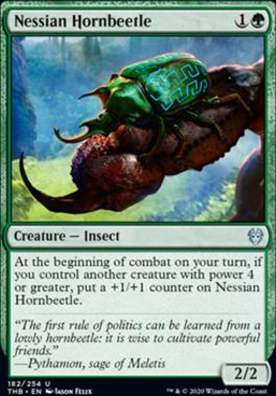 Nessian Hornbeetle