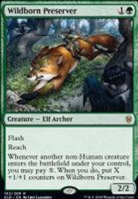 Hovedbilde Wildborn Preserver (foil)