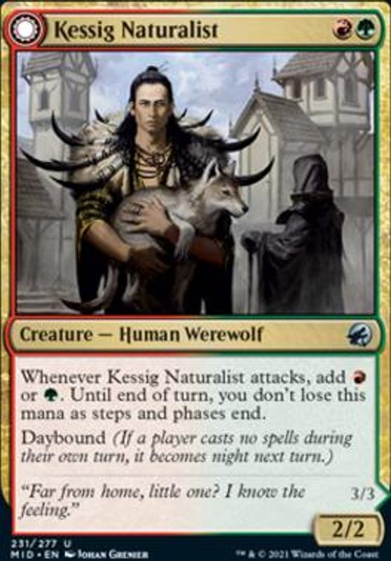 Kessig Naturalist
