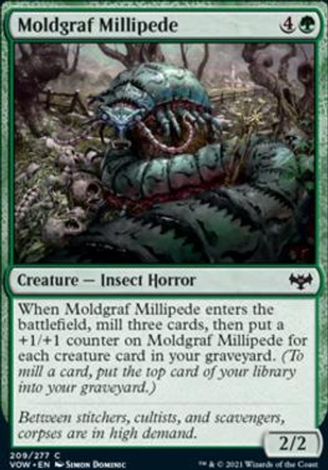 Hovedbilde Moldgraf Millipede (foil)