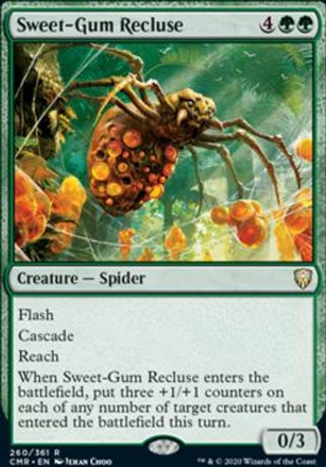 Hovedbilde Sweet-Gum Recluse