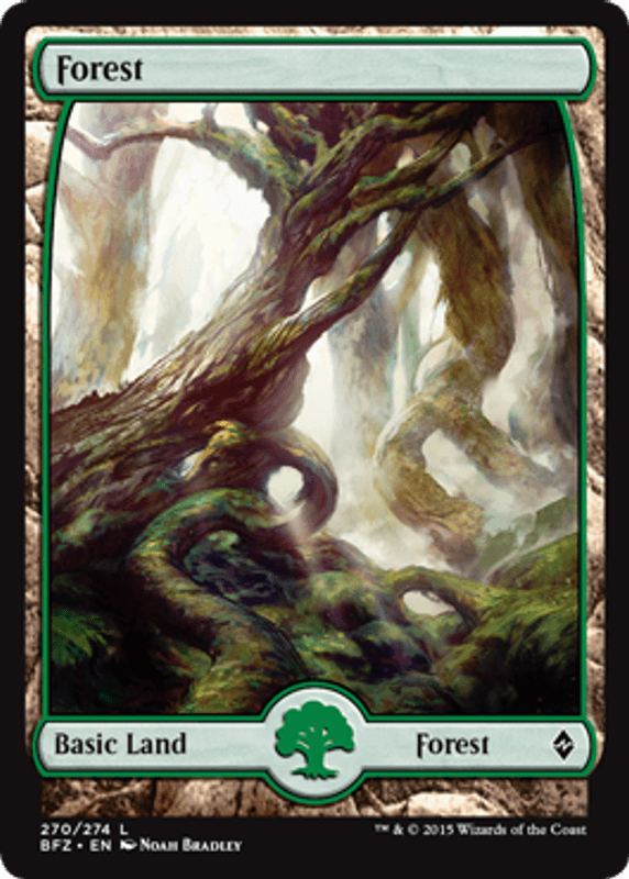 Forest (270 A)