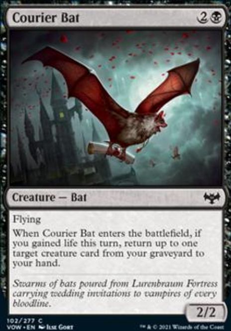 Hovedbilde Courier Bat