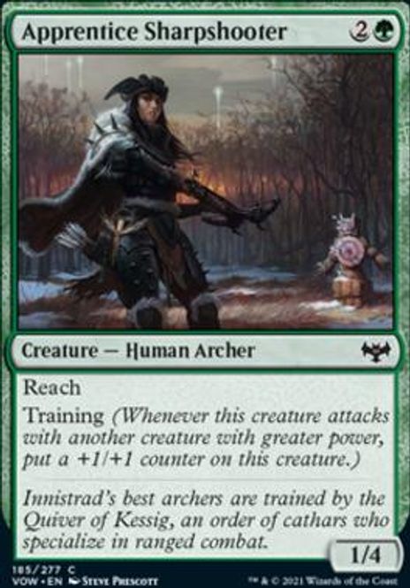 Hovedbilde Apprentice Sharpshooter