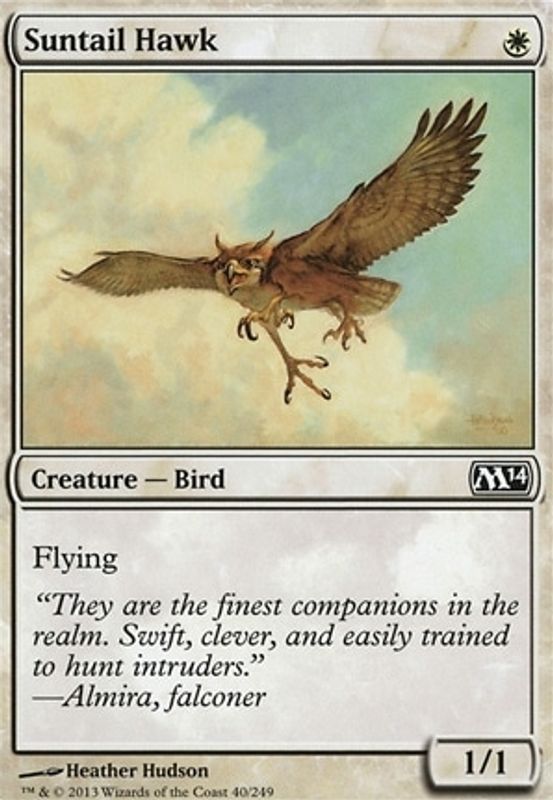 Suntail Hawk
