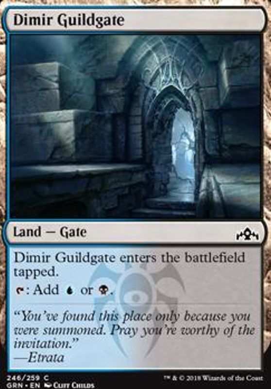 Dimir Guildgate 246B