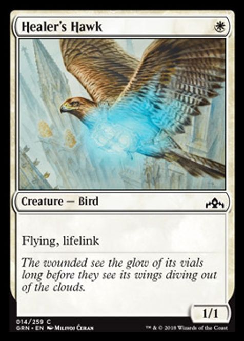 Hovedbilde Healer's Hawk