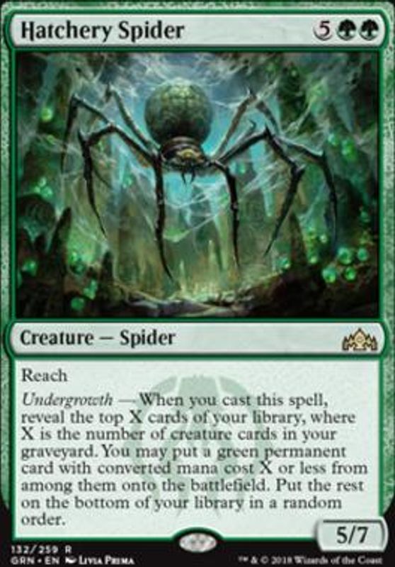 Hatchery Spider