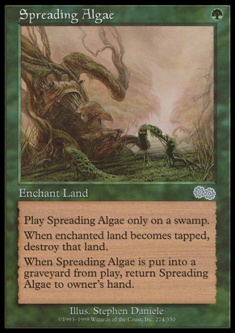 Hovedbilde Spreading Algae