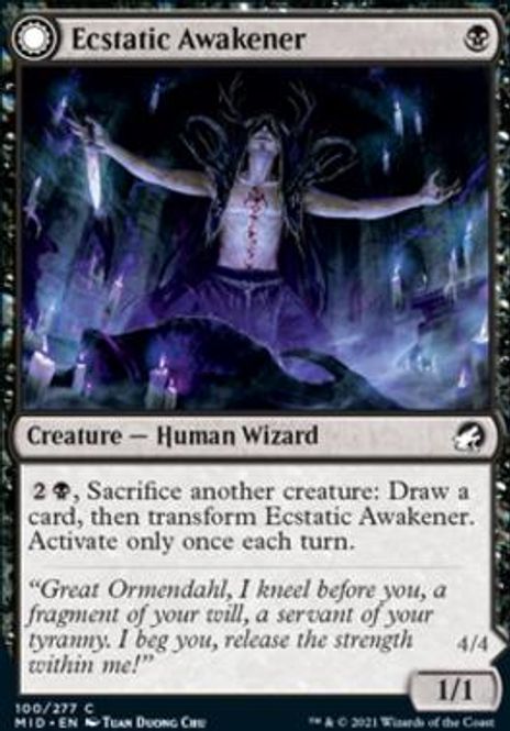 Hovedbilde Ecstatic Awakener