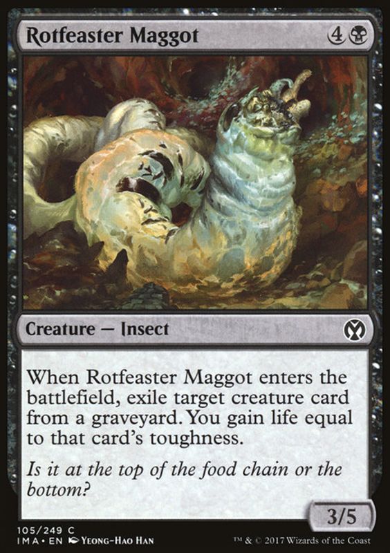 Rotfester Maggot