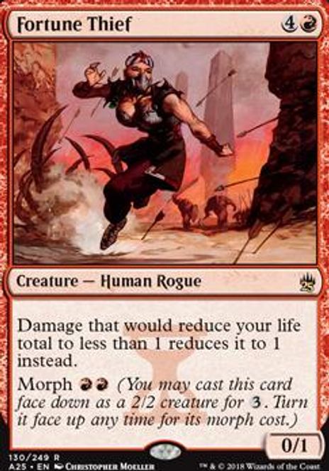 Hovedbilde Fortune Thief