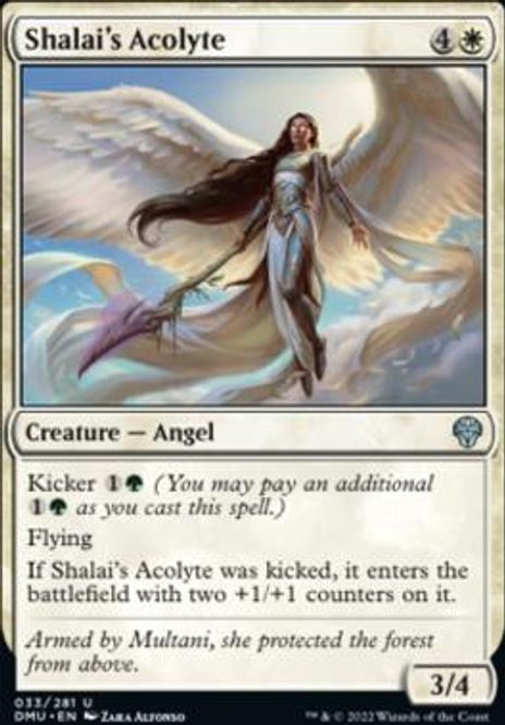 Hovedbilde Shalai's Acolyte (foil)
