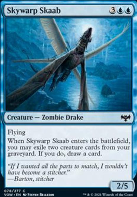 Hovedbilde Skywarp Skaab