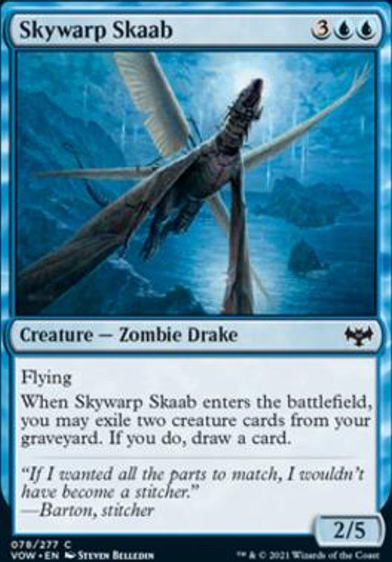 Skywarp Skaab