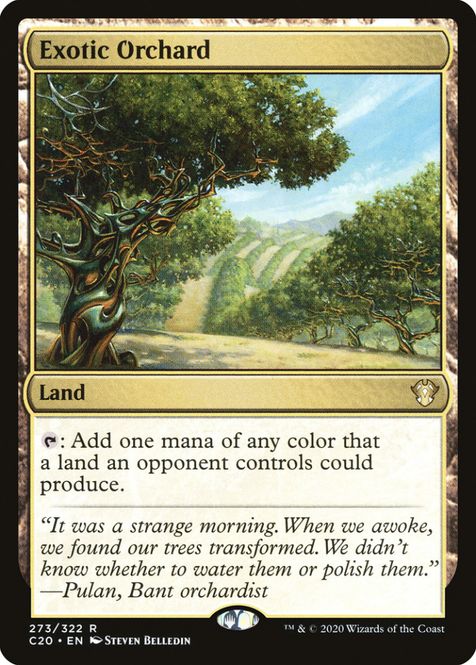 Hovedbilde Exotic Orchard