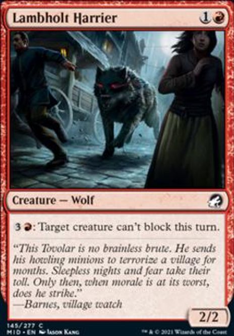 Hovedbilde Lambholt Harrier (foil)
