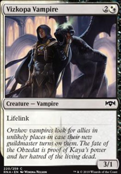 Hovedbilde Vizkopa Vampire