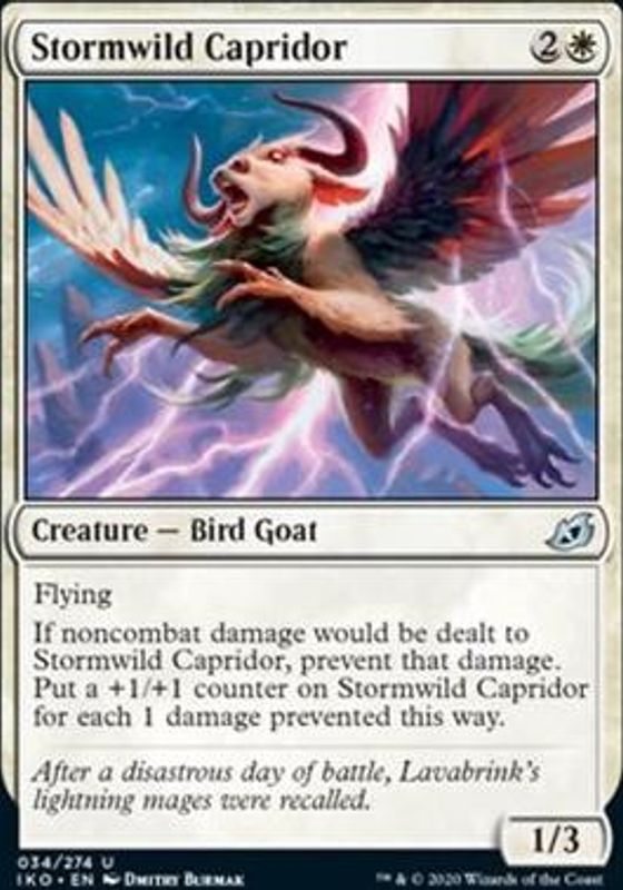 Stormwild Capridor