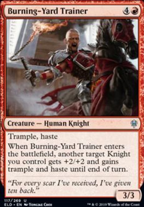 Hovedbilde Burning-Yard Trainer (foil)