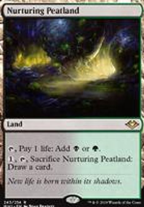 Hovedbilde Nurturing Peatland