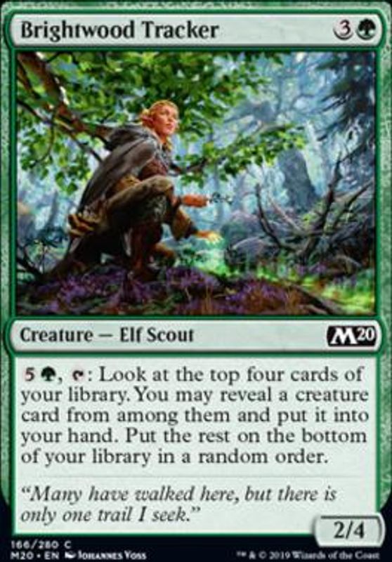 Brightwood Tracker