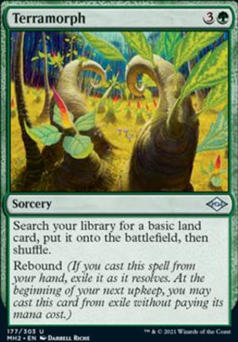 Hovedbilde Terramorph (foil)