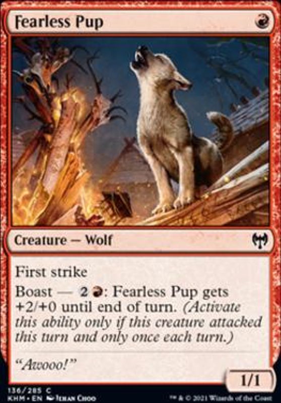Fearless Pup