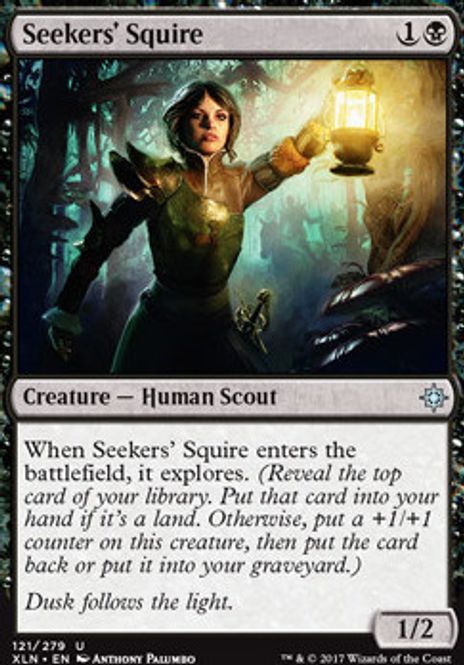 Hovedbilde Seekers Squire