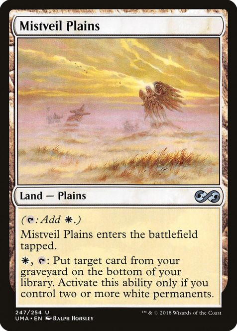 Hovedbilde Mistveil Plains
