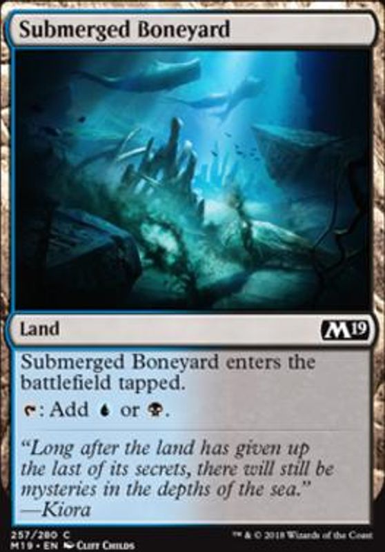 Submerged Boneyard