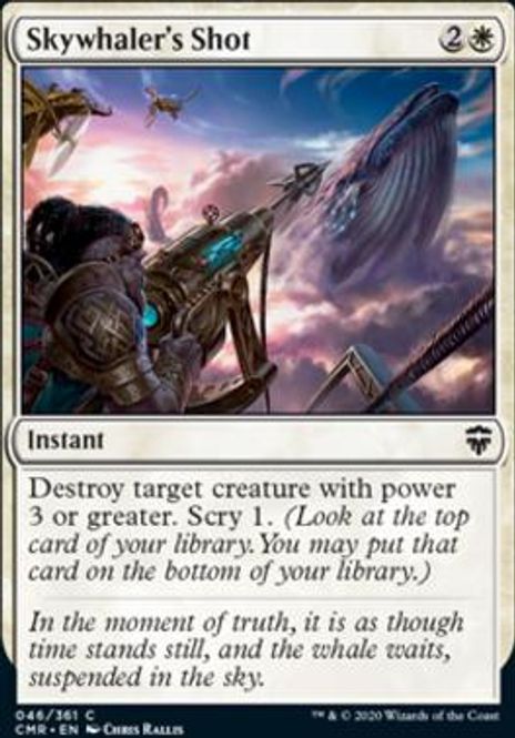 Hovedbilde Skywhaler's Shot