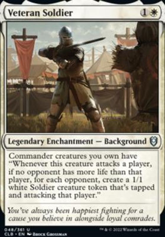 Veteran Soldier