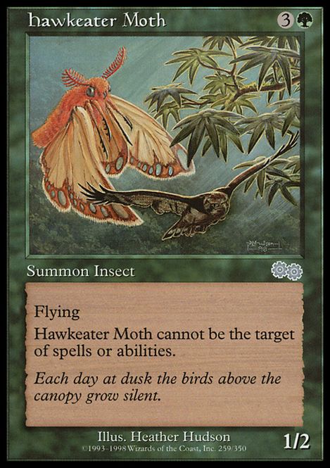 Hovedbilde Hawkeater Moth