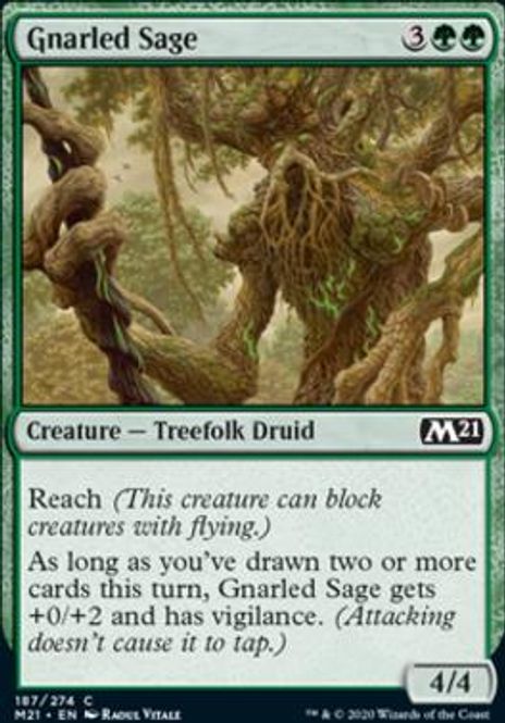 Hovedbilde Gnarled Sage