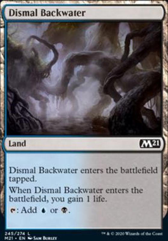 Dismal Backwater