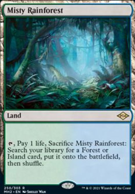 Hovedbilde Misty Rainforest