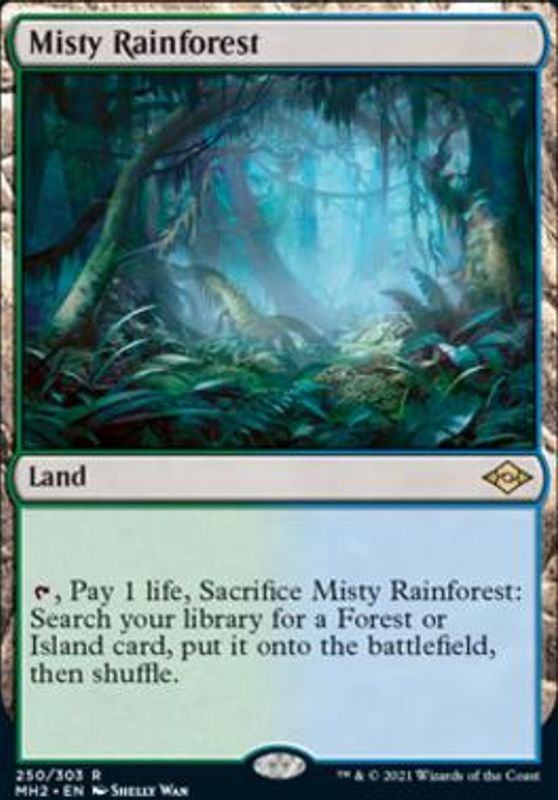 Misty Rainforest