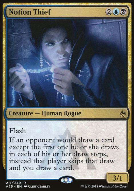 Hovedbilde Notion Thief