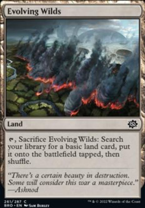 Hovedbilde Evolving Wilds