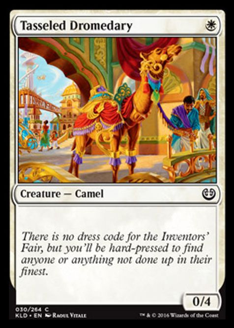 Hovedbilde Tasseled Dromedary