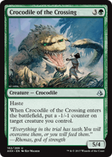 Hovedbilde Crocodile of the Crossing