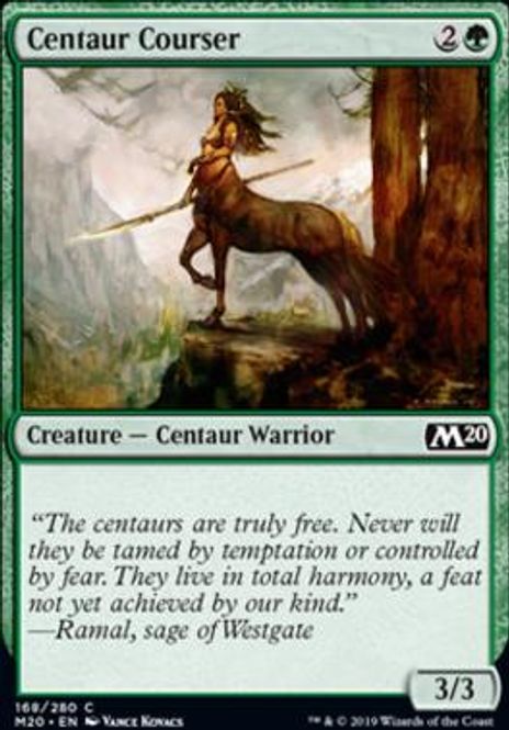 Hovedbilde Centaur Courser