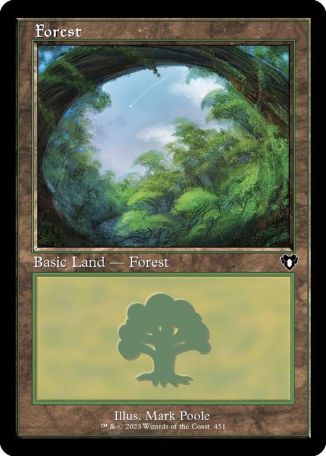 Hovedbilde Forest (0451)