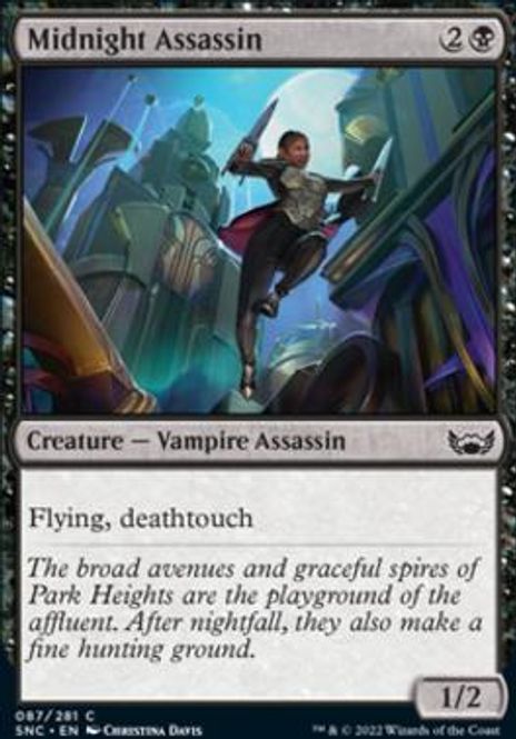 Hovedbilde Midnight Assassin