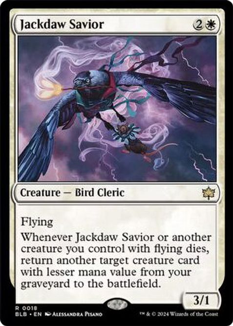 Hovedbilde Jackdaw Savior